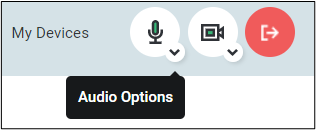 Attendee_View_-_Audio_Options.png